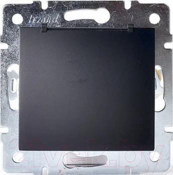 karina7074288123_lezard_5e4e33c34a1ef