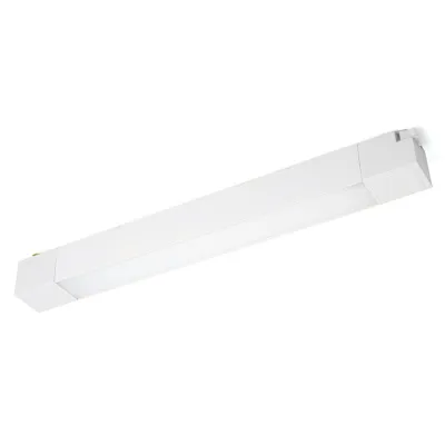 v83ftfk04vxj5t8cesjius6p8evp1mjs