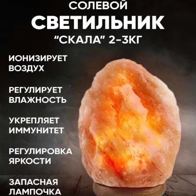 6135466772