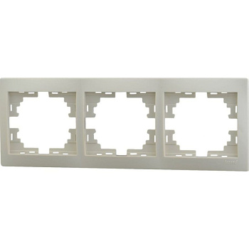 large_lezard_701_0300_148