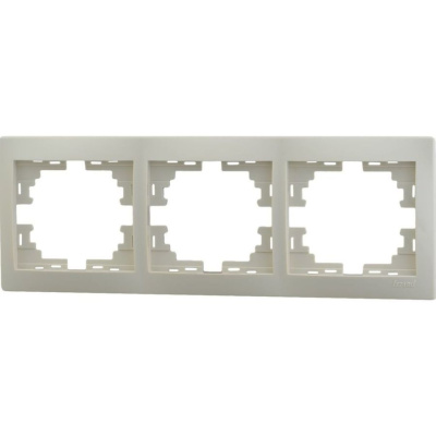 large_lezard_701_0300_148