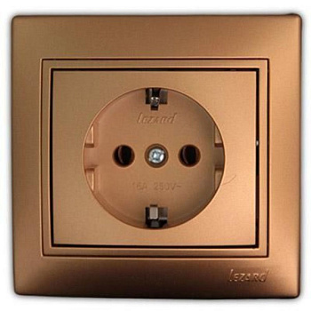 large_lezard_701_1313_122